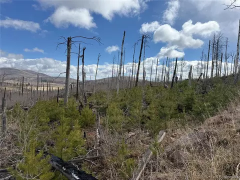 lot1960 Hilda Ln, Fort Garland, CO 81133