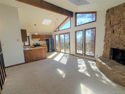 389 Juniper Ln, Bailey, CO 80421 photo 4