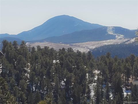 389 Juniper Ln, Bailey, CO 80421 photo 10