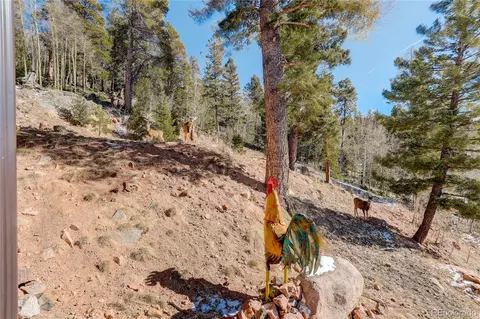 11450 Marks Dr, Conifer, CO 80433 photo 49