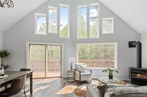 30031 Nancys Ln, Conifer, CO 80433