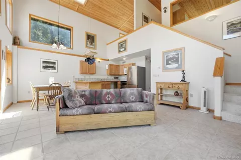 Living - 7101 County Road 43, Bailey, CO 80421 photo 3 of 3