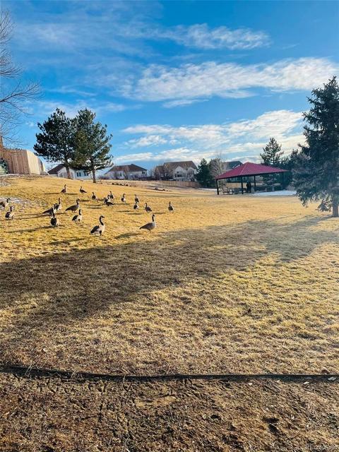2195 E 103rd Pl, Thornton, CO 80229 photo 24