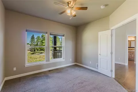 407 Silvermoon Hts, Divide, CO 80814 photo 10