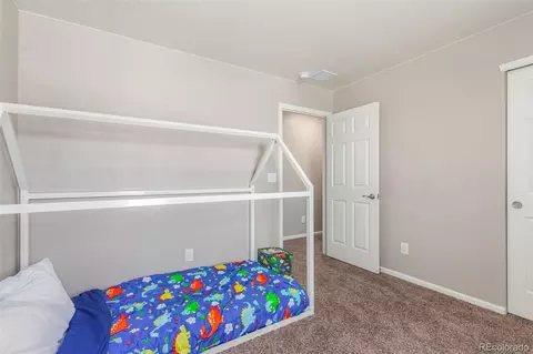 5339 Cedar St, Longmont, CO 80504 photo 22