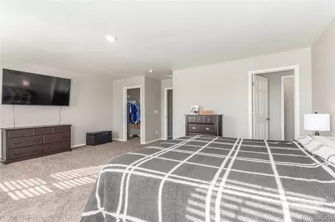 5339 Cedar St, Longmont, CO 80504 photo 18