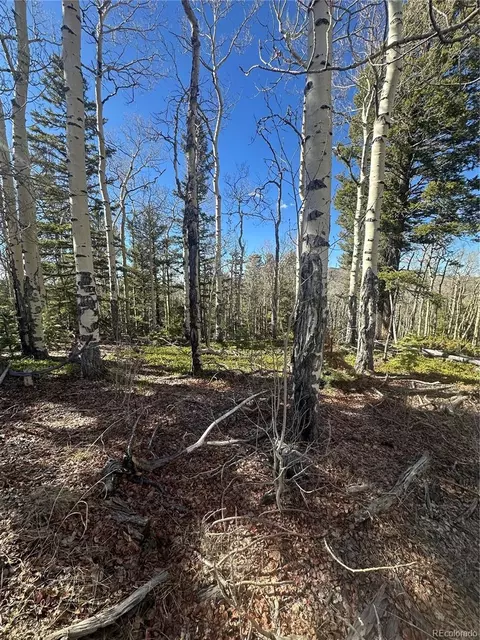 lot6744 Starkweather Rd, San Luis, CO 81152