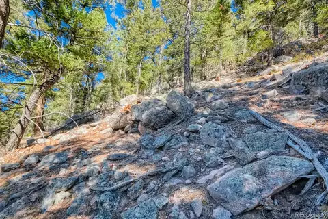 Elsie Road, Conifer, CO 80433 photo 18