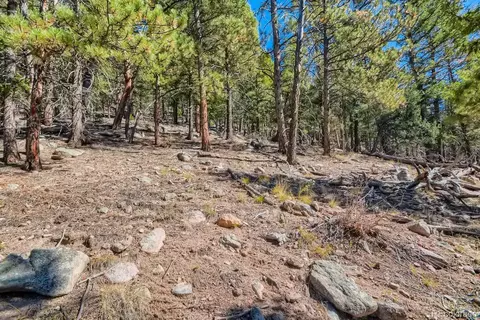 Elsie Road, Conifer, CO 80433 photo 7