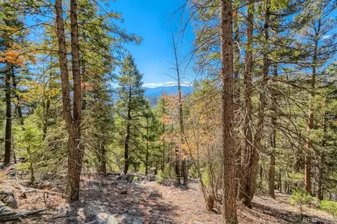 Elsie Road, Conifer, CO 80433 photo 16