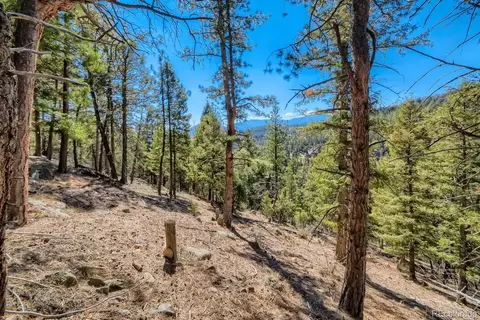 Elsie Road, Conifer, CO 80433 photo 8
