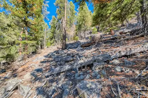 Elsie Road, Conifer, CO 80433 photo 13
