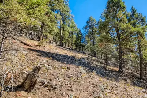 Elsie Road, Conifer, CO 80433 photo 24
