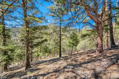 Elsie Road, Conifer, CO 80433 photo 6