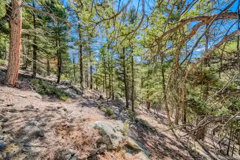 Elsie Road, Conifer, CO 80433 photo 21