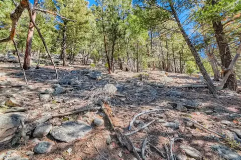 Elsie Road, Conifer, CO 80433 photo 10