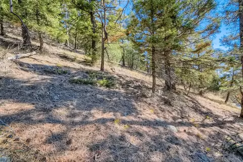 Elsie Road, Conifer, CO 80433 photo 25