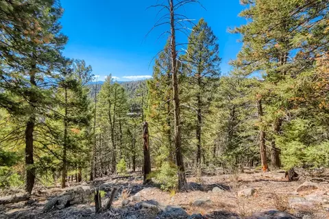 Elsie Road, Conifer, CO 80433 photo 15