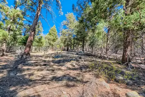 Elsie Road, Conifer, CO 80433 photo 4