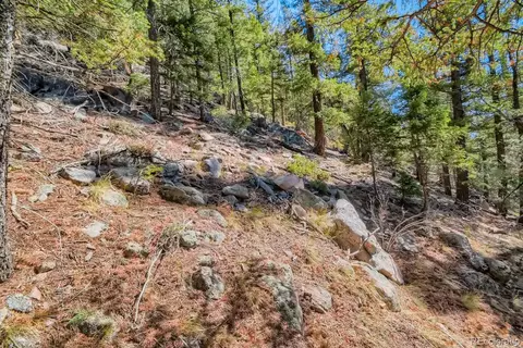 Elsie Road, Conifer, CO 80433 photo 20