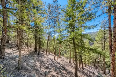 Elsie Road, Conifer, CO 80433 photo 9