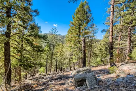 Elsie Road, Conifer, CO 80433 photo 14