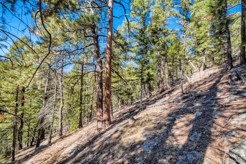 Elsie Road, Conifer, CO 80433 photo 12
