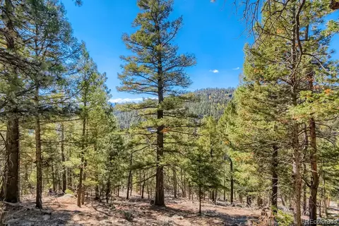 Elsie Road, Conifer, CO 80433 photo 3