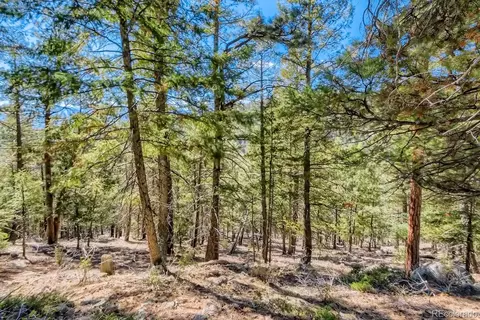 Elsie Road, Conifer, CO 80433 photo 22