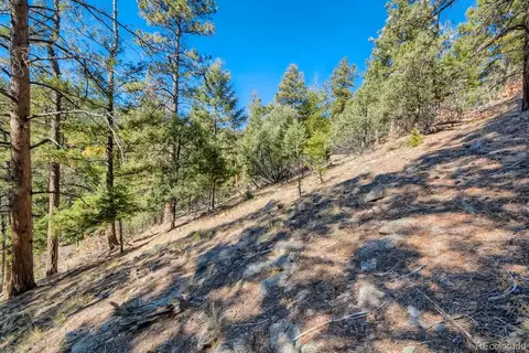 Elsie Road, Conifer, CO 80433 photo 5