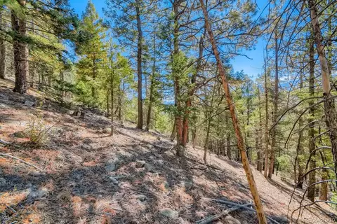 Elsie Road, Conifer, CO 80433 photo 23