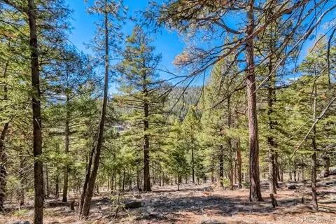 Elsie Road, Conifer, CO 80433 photo 11