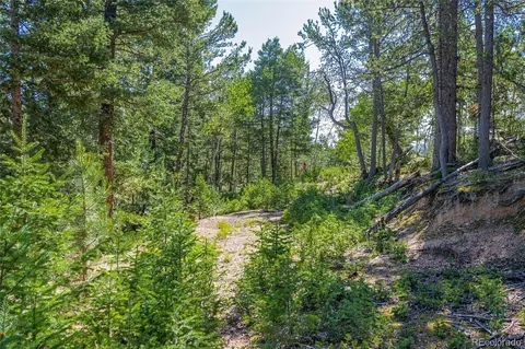 395 Paradiso Rd, Divide, CO 80814 photo 11
