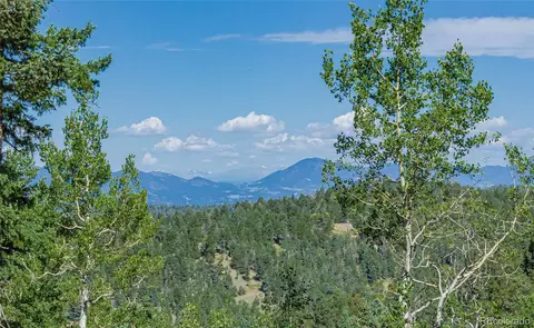 395 Paradiso Rd, Divide, CO 80814 photo 2
