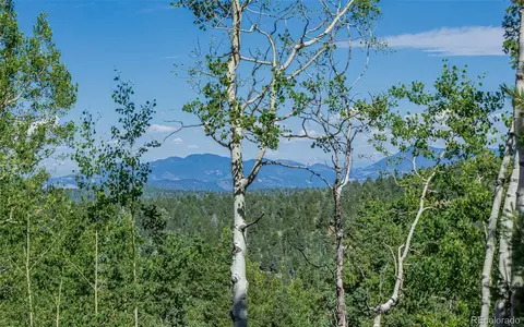 395 Paradiso Rd, Divide, CO 80814 photo 3