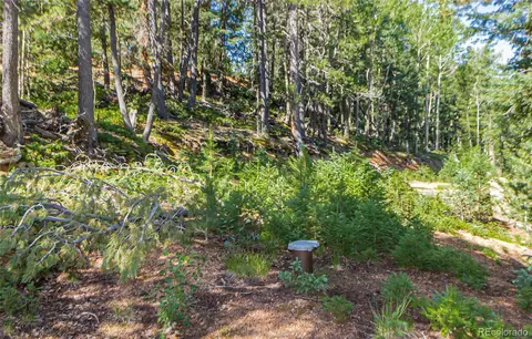 395 Paradiso Rd, Divide, CO 80814 photo 4