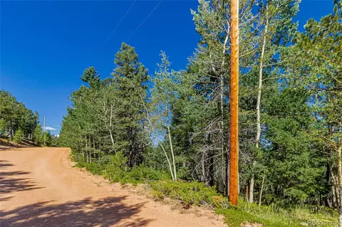 395 Paradiso Rd, Divide, CO 80814 photo 6
