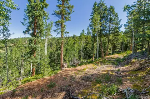 395 Paradiso Rd, Divide, CO 80814 photo 10