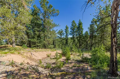 395 Paradiso Rd, Divide, CO 80814 photo 8