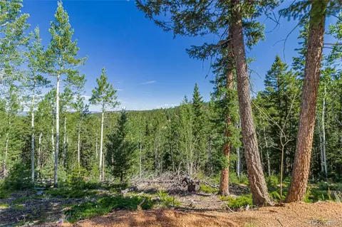 395 Paradiso Rd, Divide, CO 80814