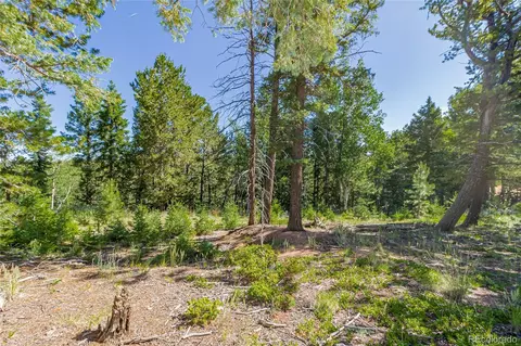 395 Paradiso Rd, Divide, CO 80814 photo 7