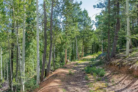 395 Paradiso Rd, Divide, CO 80814 photo 9