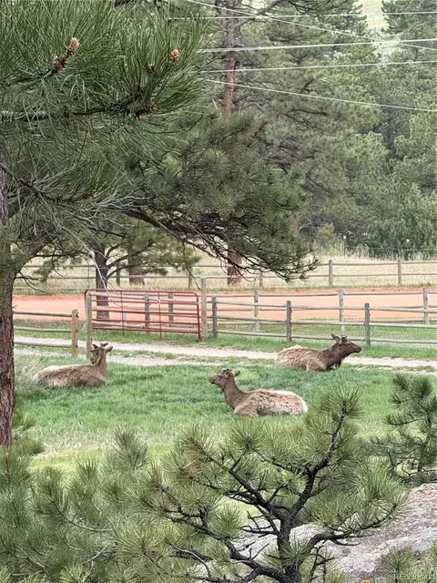 Other - 1715 Spring Gulch Dr, Lyons, CO 80540 photo 8 of 12