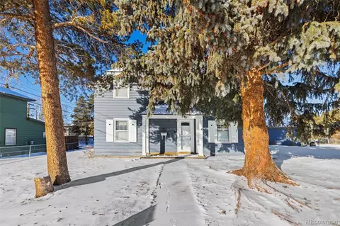 1608 Mount Massive Dr, Leadville, CO 80461