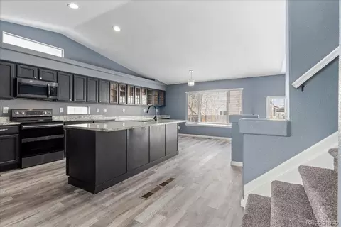 20007 E 41st Pl, Denver, CO 80249 photo 14