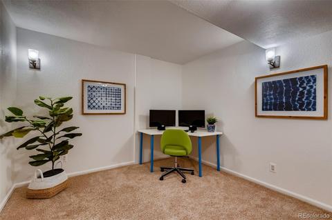 6991 Avrum Dr, Denver, CO 80221 photo 24