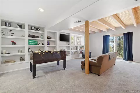 Other - 1397 S Pine Dr, Bailey, CO 80421 photo 9 of 13