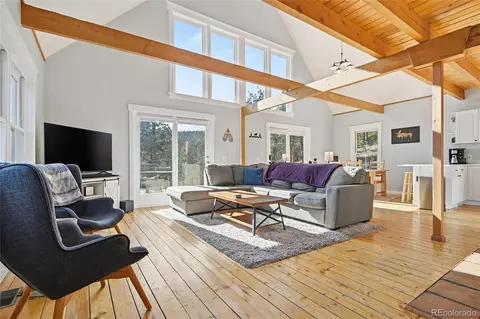 Other - 1397 S Pine Dr, Bailey, CO 80421 photo 4 of 13