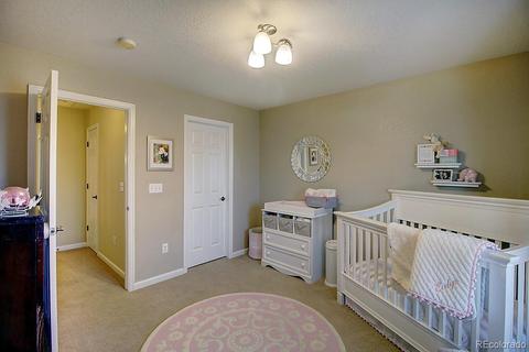 8310 E 29th Ave, Denver, CO 80238 photo 23