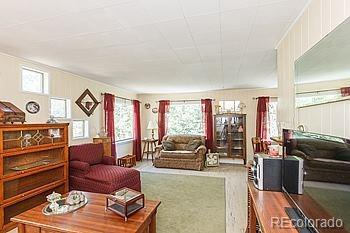 264 Aspen Ln, Bailey, CO 80421 photo 9